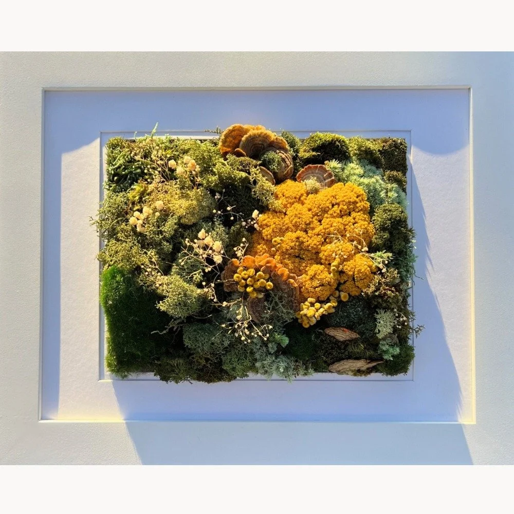 Fragmented Memory — ANGELA JUSTICE | FORESTHETIC